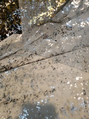 Holiday Fabric/Tablecloths 60×40 (2) 32×10 (1) Black Guaze Gold One Side Silver