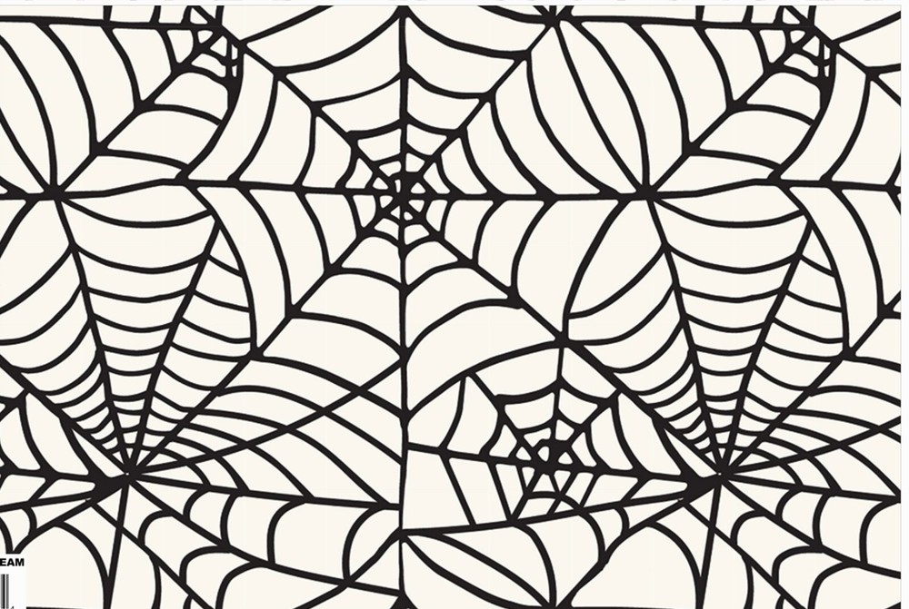 Cobweb Spider Web Quilt Backer Orb Insect Web Black Widow Ghastly Haunted Spooky