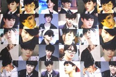 BTS Korean Band on 100% Cotton Fabric by the 1/4 Yard: 9″ x 57″ (K-pop) (Jimin)