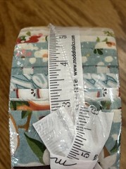 Fruit Loop Jelly Roll by BasicGrey for Moda Fabrics