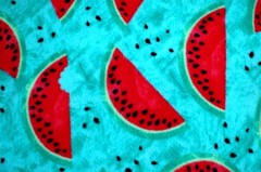 BTY*HOLIDAY RED WATERMELON BLACK SEEDS TURQUOISE PLUSH FLEECE FABRIC 60×36″ 1YD