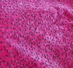 56″ wide by 40″ Long Pink Sequin Velour Velvet Material Quality Fabric