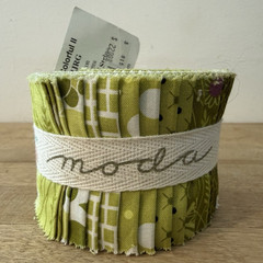 Moda Fabrics Simply Colorful II Green Floral 100% Cotton Jelly Roll 10850JJRG