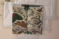 Clarke & Clarke Frontier Linen Symbols of the Frontier Various Colors and Sizes