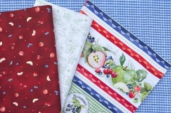 Farmer’s Market Repeating Border Stripe 6278MU By half yd cont cuts