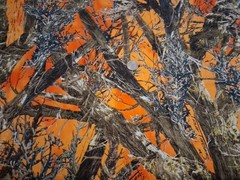 Springs Creative Blaze Timber Trees 2014 Cotton Fabric 42″ X 36″