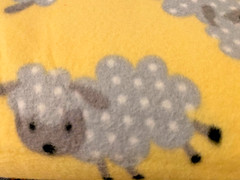 Blizzard Fleece: 3-yard 25 inches piece – 59 inches wide – Baby Yellow