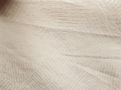 Avanti Light Peach Damask Burlington Mills – 5+yds=$0 S&H