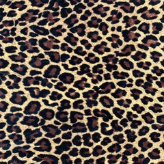 Dana DARK BROWN BLACK Leopard Pattern Polyester Stretch Velvet Fabric by the Ya