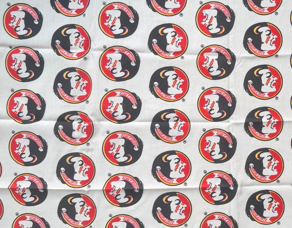 Florida State University FSU Seminoles Fabric Single Piece 20.5×46