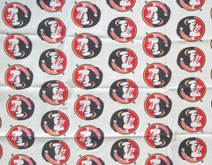 Florida State University FSU Seminoles Fabric Single Piece 20.5×46
