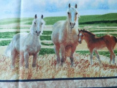 1 yard cotton quilt fabric MUSTANG MEADOW Nancy Glazier SSI South Sea Import BTY