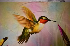 The Hummingbird Panel David Textiles Cotton Size 35.5 W