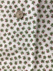 FAT QTR 18×22 BEATRIX POTTER QUILTING TREASURES CRANSTON 2006 TINY RADISH FABRIC