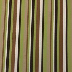 OUTDURA SOLIEL PISTACHIO GREEN BROWN CANVAS STRIPE OUTDOOR MULTI FABRIC 1.5 YARD