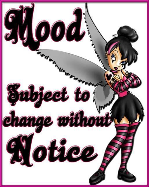 Tinkerbell Gothic # 10 – 8 x 10 – T Shirt Iron On Transfer