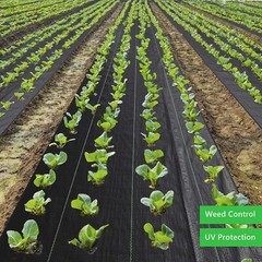 Landscape Fabric Weed Barrier Ground Cover Garden Liner Tarp 6ft x 100ft
