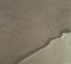 Sand Sherpa Fleece Knit Fabric By the Yard (Jacket Lining, Blanket) 4/20/17