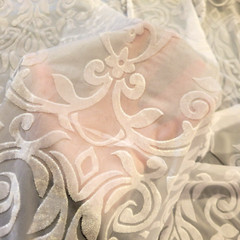 White on White Velveteen Devore Burnout w/ Rococo Pattern