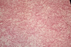 MED PINK/LIGHT PINK BLENDER – 100% COTTON FABRIC