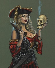 35″ Fabric Panel | David Textiles Digital Bad Divorce Female Pirate Scene