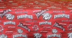 Lehigh Valley Iron Pigs Fabric Remnant MLB 43″ x 107″ Minor League Baseball
