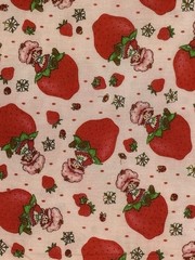 Strawberry Shortcake on Strawberry Fabric – BTHY: 18” x 56”