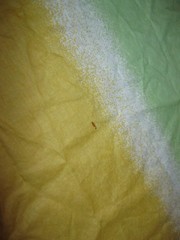 VINTAGE Clarence House JAY YANG Design OMBRE Pastel Rainbow FABRIC 8+ Yards ALL