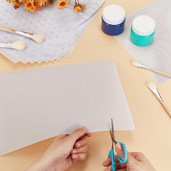 10 Sheets Fursuit Eye Mesh, 11.8X8.6Inch White Therian Eye Mesh PVC Net Waterpro