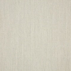 Augustine Oyster Sunbrella Upholstery Fabric