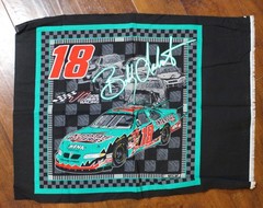 Bobby Labonte #18 Interstate Batteries Nascar Cotton Fabric 22.5″X17″
