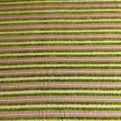 Burch Bright Green Textured Chenille Stripe Upholstery Fabric