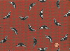Halloween 100% Cotton Fabric: Dantinis MORE THAN BONES, 9 Prints 1/2 Yard Each