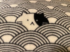 Blizzard Fleece -3.5 Yard piece- 59 inches wide – Hiding Cat / Cat Gray