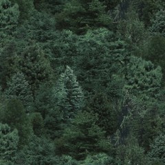Landscape Medley Black Northern Lights Elizabeth Studio 44″ Wide BTY