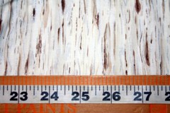 WHITE TREE BARK FROM THE KESSLERS – 100% COTTON FABRIC
