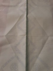 Fabric Light Green Tablecloth 52 X 52 With Some Floss needs done