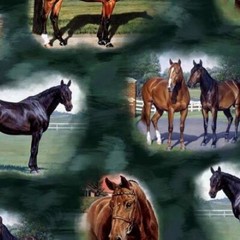 Horse Country 1/2 Yard Increments, Cut Continuously (30195-F Horse Vignettes) QT