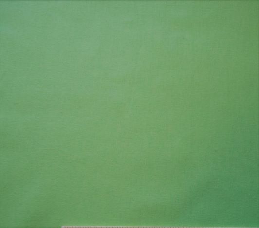 Wilmington Prints Solids Greetings Bright Green By the 1/4 yard cotton fabric