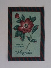 Fabric Cotton Square – Picture Size 4″ x 6 1/4″ of Dark Pink Magnolia Blossoms
