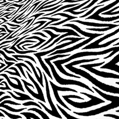 Animal Print Zebra Spandex Fabric 4-way Stretch 60″wide by the Yard for Swimwear