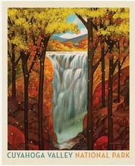 Redwood Poster Panel National Parks 35 1/2in x 43 1/2in