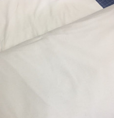 Richlin Fabrics ~ 90″ wide ~ Quilt Backing (Unbleached)~ per half yard