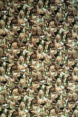 Paintbrush Studio Cotton Fabric “Farm Living” With Horses 5.8 Yard Piece X WOF