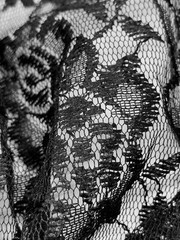 Floral Lace Fabric Special Occasion Black Netting Border By the Yard