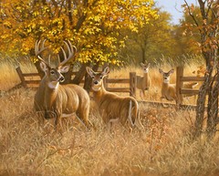 Ladies In Waiting Doe Deer Autumn Foliage Digital Cotton Fabric David 35″ Panel