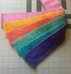 18 Piece Jelly roll – Tiny Vines – 6 Colors – 3 Of Each Color
