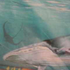 Oceanic Calypso II Teal Whale Border Stripe Fabric Yardage Bolt