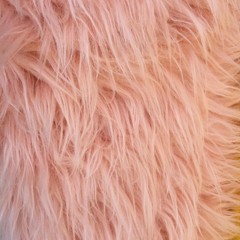 Eden PEACH Shaggy Long Pile Soft Faux Fur Fabric by the Yard