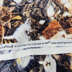 Sewing Quilt Craft Fabric Tabby Cats Sew Curious Anne Mortimer Print 2 yds